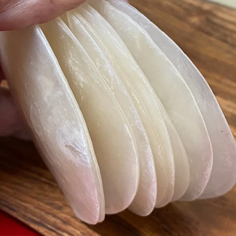 1-hole 8cm Capiz Shells (50) - White