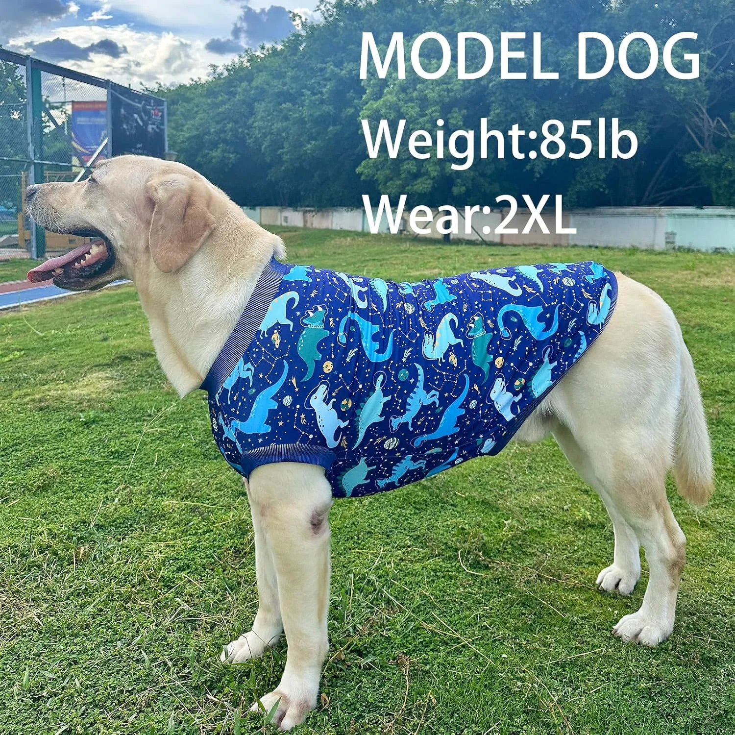 Dog Navy Sleeveless T Shirts with Universe Dinosaur Pattern Printed Soft Vest for Large Dogs (2XL, Vest)