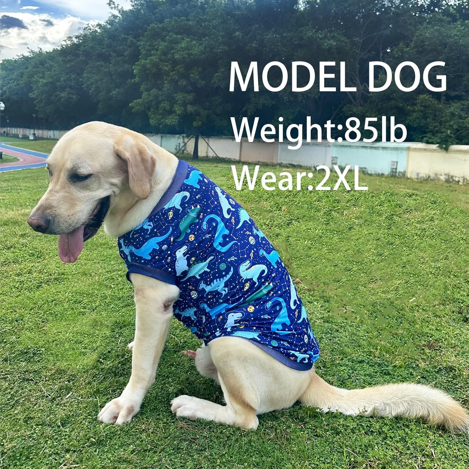 Dog Navy Sleeveless T Shirts with Universe Dinosaur Pattern Printed Soft Vest for Large Dogs (2XL, Vest)