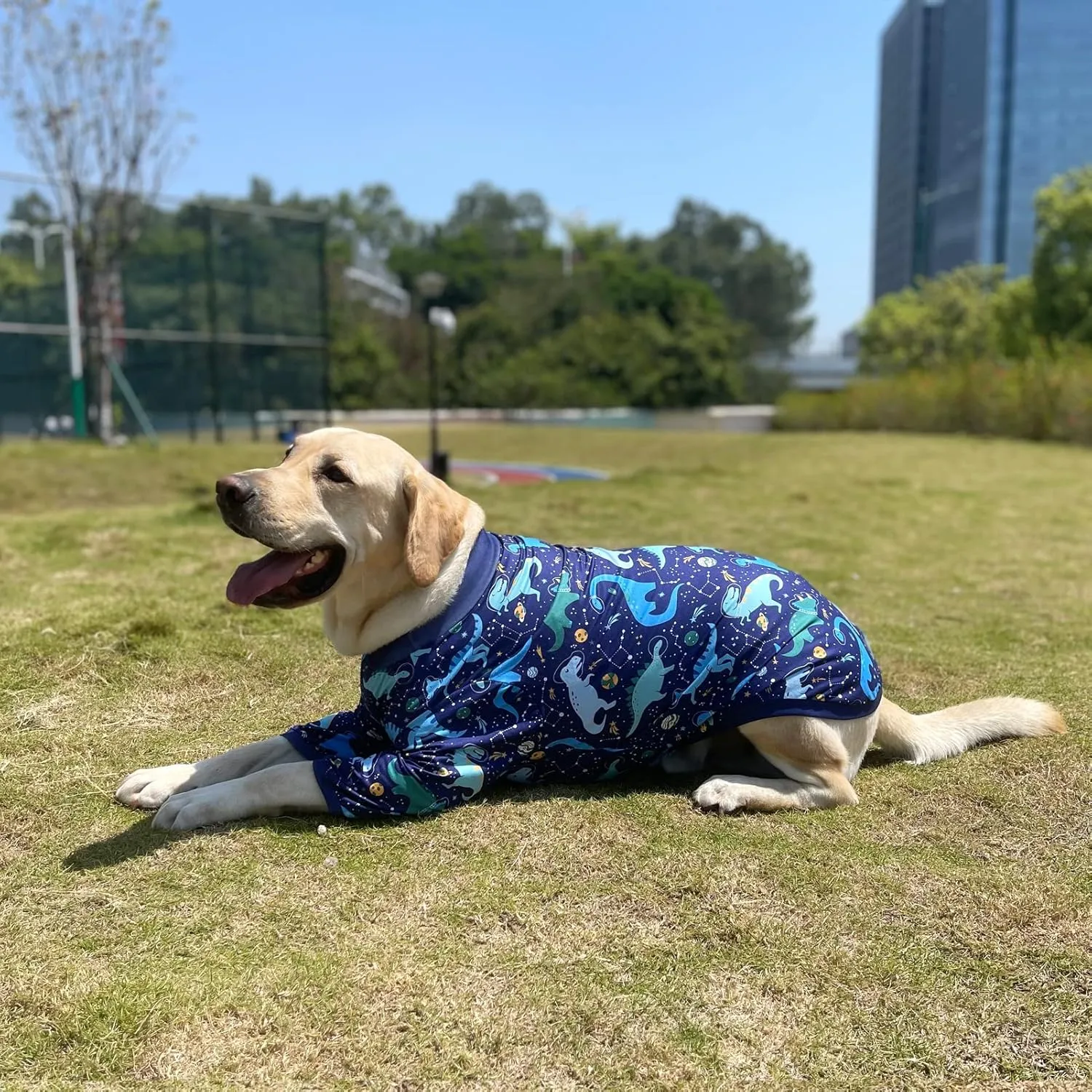 Dog Navy T Shirts with Universe Dinosaur Pattern Printed Pet Shirt Softable Pajamas for Large Dogs (XXL, Navy)