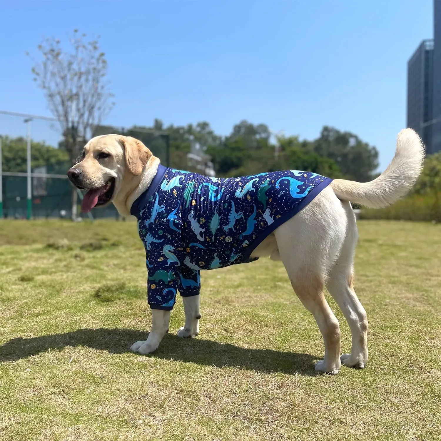 Dog Navy T Shirts with Universe Dinosaur Pattern Printed Pet Shirt Softable Pajamas for Large Dogs (XXL, Navy)